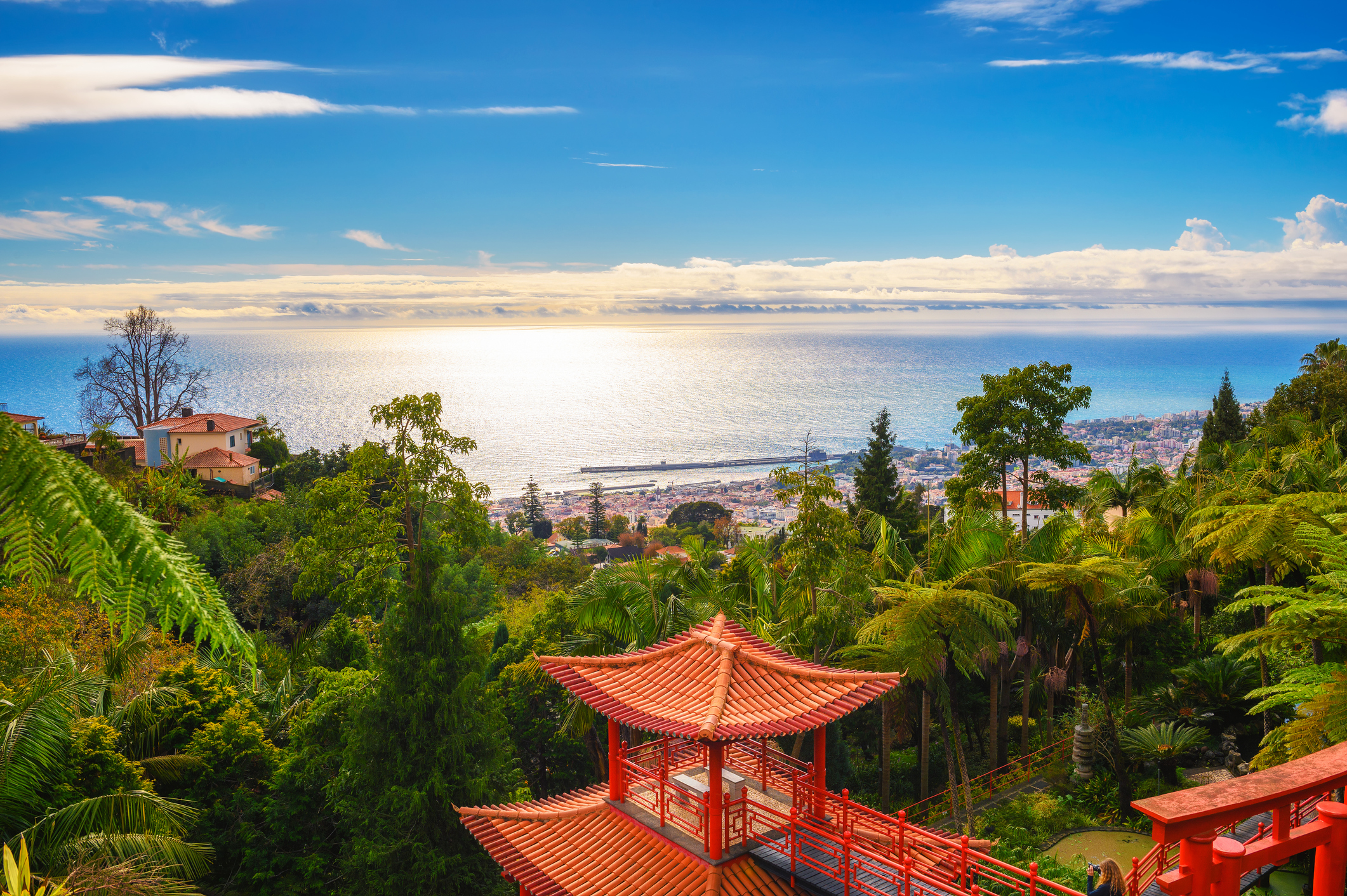 Madeira island volcanic landscape Atlantic coastline — private tuk tuk tours in Madeira